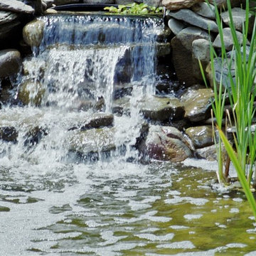 Ponds and Streams