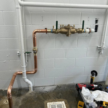 Backflow Preventers (BFP)