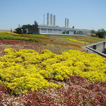 Ellis Creek Water Recycling Facility
