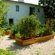 vegetable garden