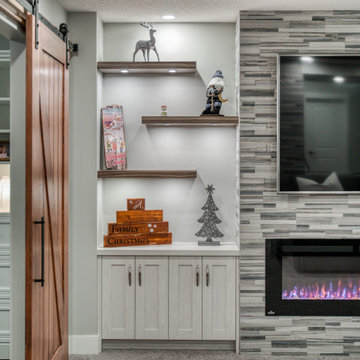 Aspen Basement Development