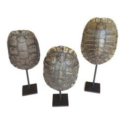 New Arrivals - Products