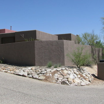 Camino Real Development, Tucson, Arizona Architect David Tyson