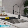 Bolden Commercial Style 2-Function Pull-Down 1-Handle 1-Hole Kitchen Faucet, Stainless Steel/ Matte Black