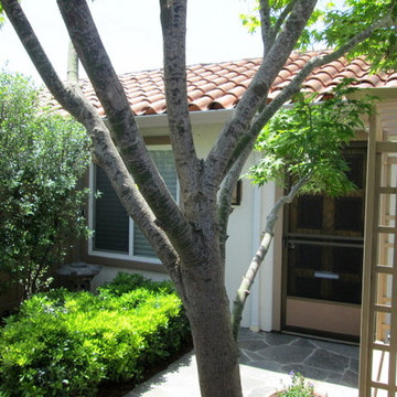 Small & Simple Santa Clara Sanctuary