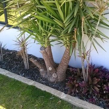 Inspection of Gardens and External Areas