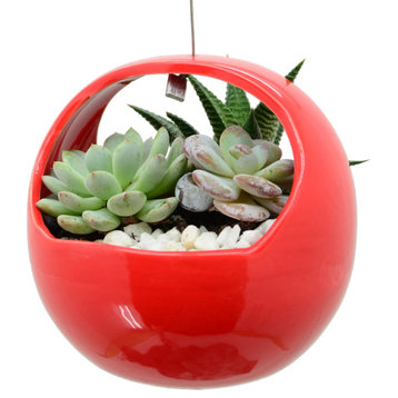 Ceramic Air Planter, Basket Style, 4.5x4.5", Red