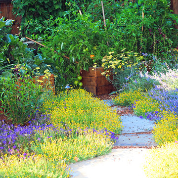 Burlingame Backyard Vegetable Garden