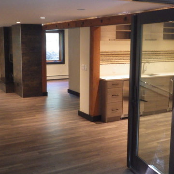 Leach- Lychee basement remodel/ addition