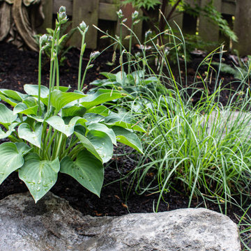 Richmond Asian-Inspired Garden