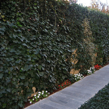Giardino a Prato