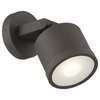 Zone Outdoor Adjustable LED Spotlight, Bronze