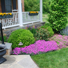 landscaping ideas