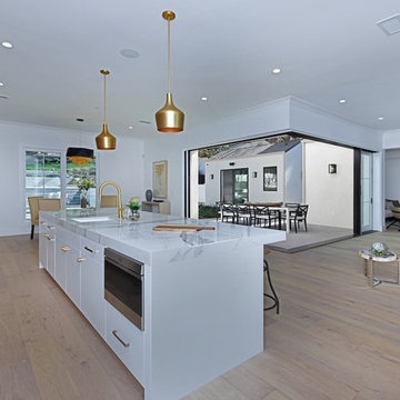 Tarzana Custom Residence