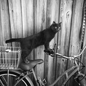 Caterina Cascaval's photo
