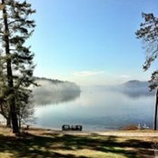Fran Waite's photo