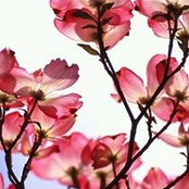 Cheryl Karluk's photo