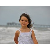 Andrew Rogers's photo