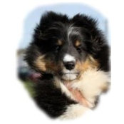 Kathleen Charette's photo