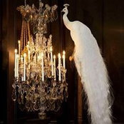 Paul Dopper's photo