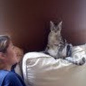 Julie Choi's photo