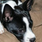 Sandy Inman's photo