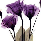 Foto de Cheryl Pond
