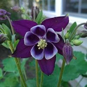 Augusta Byrd's photo