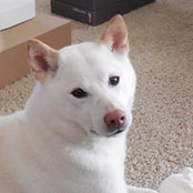 Debbie Kinecki's photo