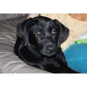 Susan Davis's photo