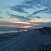 Celia Purvis's photo