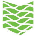 Roos International's profile photo