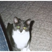 Wendi Makrianis's photo