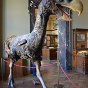 Lynette Reavell's photo