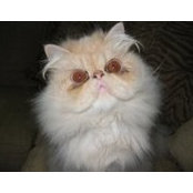 Cyndy Steele's photo