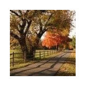 Deb Graber's photo