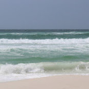 Krista Storey's photo