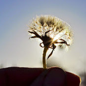 Sharon Yocum's photo