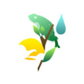 jinjo's photo