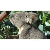 Michael Carroll's photo
