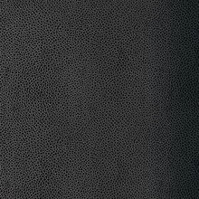 wallpaper