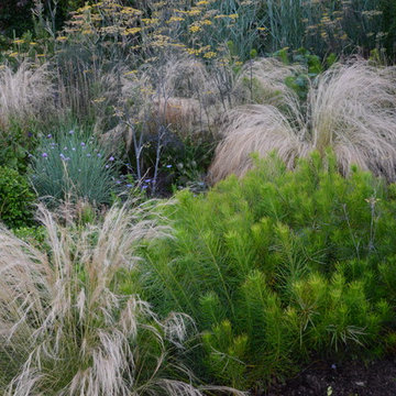 Kitsilano Front Garden