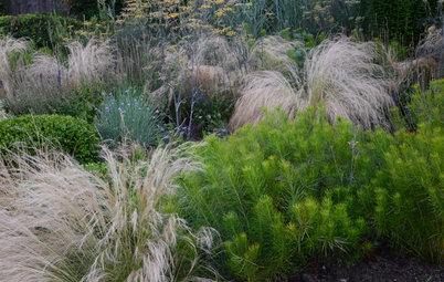 4 Ways to Break the Rules in Your Garden