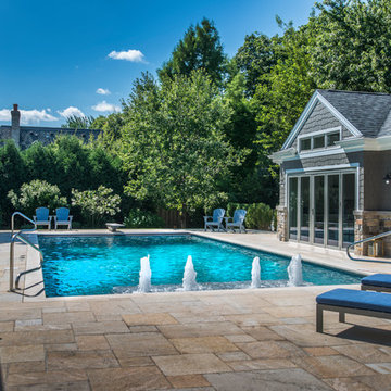 Arlington Heights, IL Swimming Pool and Separate Raised Hot Tub