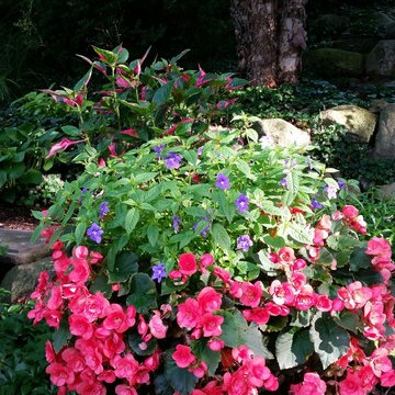 Container Gardens