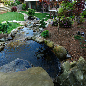 Brookhaven Back Yard