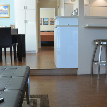 Mid Century Modern Condo