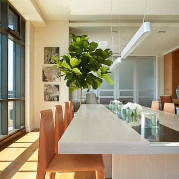 Luxury High Tech Condo