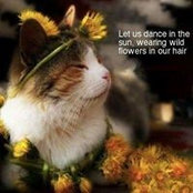 Susan Hammond's photo
