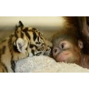 Mom Com1's photo